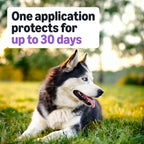 Amazon Basics Flea and Tick Topical Treatment and Prevention for Large Dogs (45-88 lbs), Fast Acting and Long Lasting, 3 Count, Packaging May Vary