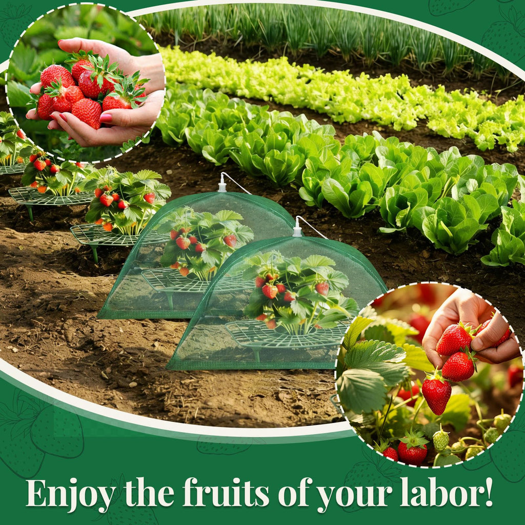 6 Sets Strawberry Plant Support with Mesh Plant Cover, Strawberry Growing Rack Kit with 24 Iron Plant Nails for Garden, Strawberry Growing Frame with Protective Net for Strawberries Tomatoes Veggies