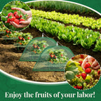 6 Sets Strawberry Plant Support with Mesh Plant Cover, Strawberry Growing Rack Kit with 24 Iron Plant Nails for Garden, Strawberry Growing Frame with Protective Net for Strawberries Tomatoes Veggies