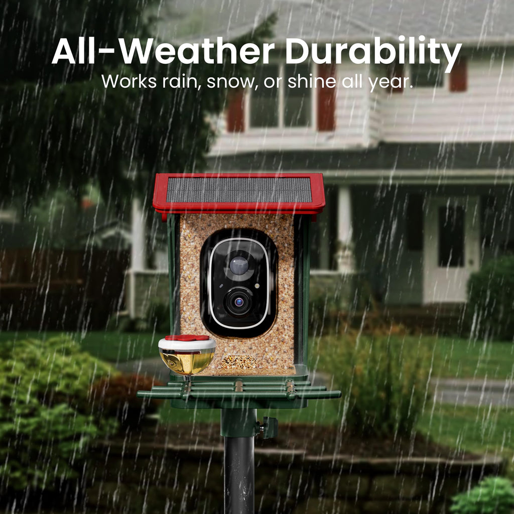 Smart Bird Feeder with Camera Solar Powered, 2K HD Video, AI Bird Species Identification, Instant Arrival Alerts, Weatherproof Design for Effortless Birdwatching, Best Gift for BirdLovers, Red