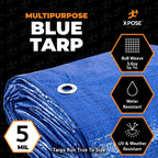 Better Blue Poly Tarp 12' x 16' (12-Pack) - Multipurpose Protective Cover - Lightweight, Durable, Waterproof, Weather Proof - 5 Mil Thick Polyethylene - by Xpose Safety