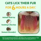 Just Try Cat Grass Treats for Indoor Cats Hairball Control 13.4 OZ