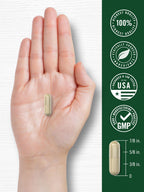 Carlyle Leg Vein Supplement | 180 Capsules | Supports Healthy Vein Function | Non-GMO, Gluten Free