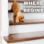 Clear Non Slip Stair Treads for Wooden Steps Indoor 32"x4" – 18-Pack Peel Stick Stair Treads – Self Adhesive Transparent Step Covers – Stair Grip Tape for Dogs, Kids – by STEPCORE