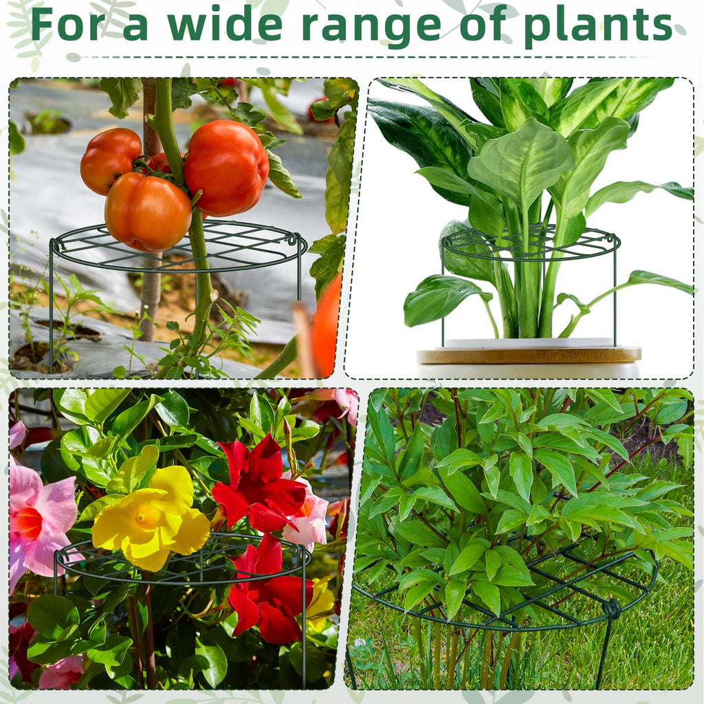 6 Pack 12 x 16 Inch Peony Cages and Supports for Outdoor Plants