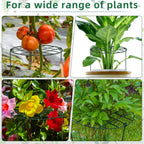 6 Pack 12 x 16 Inch Peony Cages and Supports for Outdoor Plants
