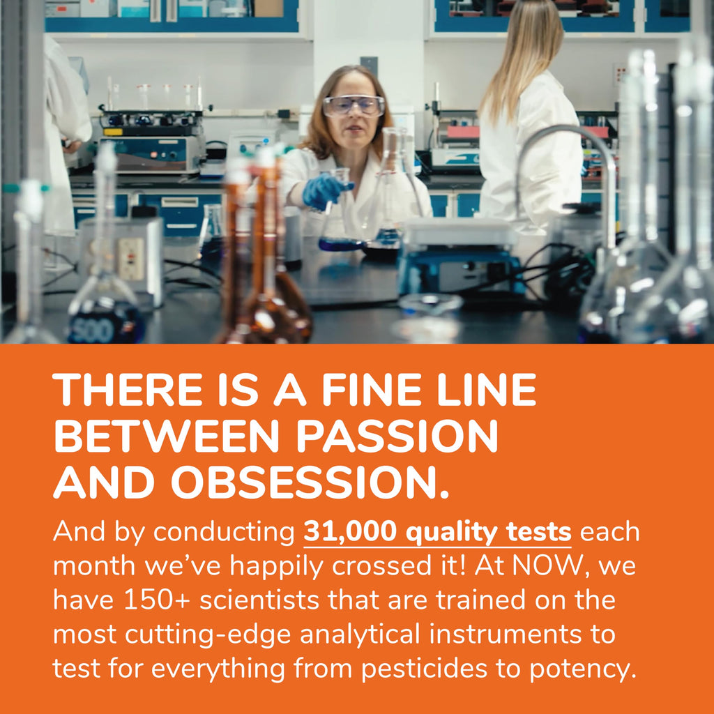 NOW Foods Supplements, MK-7 Vitamin K-2 100 mcg, Cardiovascular Support*, Supports Bone Health*, 120 Veg Capsules
