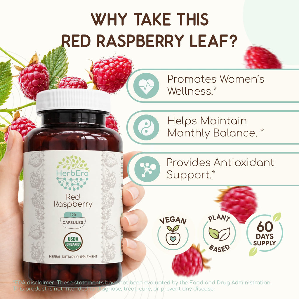 HerbEra USDA Organic Red Raspberry Leaf Capsules – Women's Wellness Support, Rubus Idaeus Dried Leaf, Daily Wellness Capsules, Vegan, Herbal Supplement (120 Capsules)