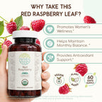 HerbEra USDA Organic Red Raspberry Leaf Capsules – Women's Wellness Support, Rubus Idaeus Dried Leaf, Daily Wellness Capsules, Vegan, Herbal Supplement (120 Capsules)
