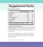 Sugar Free Magnesium Gummies - Calming Anti-Stress Gummies, Magnesium Supplement to Support Stress Relief, Sleep, Heart Health, Nerves, Muscles & Bones, 100 mg, Kids, Adults, Vegan, High Absorption