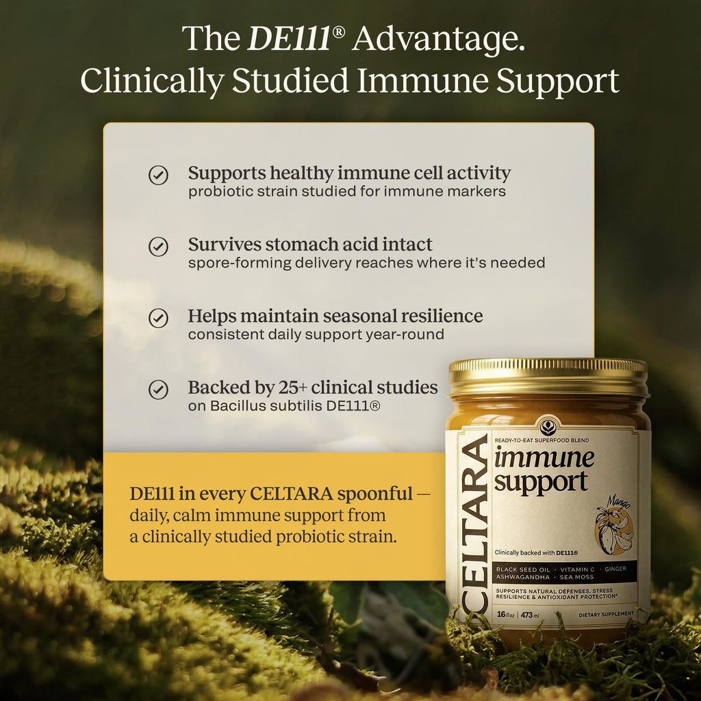 CELTARA Sea Moss Gel Mango Daily Blend, 15 Servings — 2 Tbsp Per Serving, Sea Moss 5.55g, Vitamin C, Magnesium, Potassium + Ashwagandha, Black Seed Oil, Ginger, Monk Fruit Sweetened, No Added Sugar
