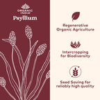 ORGANIC INDIA Psyllium Husk Capsules - Fiber Supplement, Healthy Elimination - Vegan, Keto Friendly, Gluten-Free, USDA Certified Organic, Non-GMO, Soluble & Insoluble Fiber Source - 180 Count