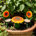 Fairy Garden Accessories,Fairy Garden Accessories Outdoor,Fairy Garden
