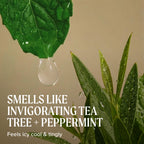Tea Tree Special Shampoo, Deep Cleans, Refreshes Scalp, For All Hair Types, Especially Oily Hair, 10.14 fl. oz.