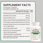 Megacephalus Lymphatic Drainage Capsules, Natural Herbal Supplements with Dandelion Extract, Burdock, Kelp & Echinacea, Supports Cellulite Reduction, Lymph Node Detox Cleanse & Immune Health (1)