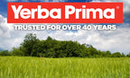 Yerba Prima Psyllium Whole Husks Fiber Supplement - Colon Cleanse - Gut Health - Vegan Non-GMO Gluten Free - 20oz