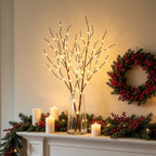 LITBLOOM Lighted Brown Willow Branches 32IN 100 LED with Timer Battery Operated, Tree Branch with Warm White Lights for Holiday Christmas Decoration Indoor Outdoor