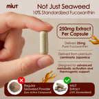 MIUT Fucoxanthin Brown Seaweed Extract Supplement 250mg - 10% Standardized Fucoxanthin w/Vitamin E & MCT Oil, Antioxidant & Metabolic Support - Vegan Marine Carotenoid Formula, Non-GMO - 100 Capsules