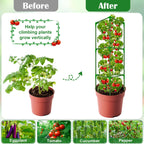 3 Packs Fiberglass Tomato Cages for Garden, 56 Inch Tall Tomato Plant Support, Adjustable Tomatoes Stakes Plant Climbing Trellis for Garden Vegetables Fruits, Tomatoes Support Cages with Clips