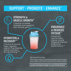 Creatine Monohydrate Powder Taurine Supplement, 5g Creatine Monohydrate 1g Taurine per Serving | Vegan Muscle Strength, Endurance & Recovery Support, Clean Performance Formula | 60 Servings Unflavored