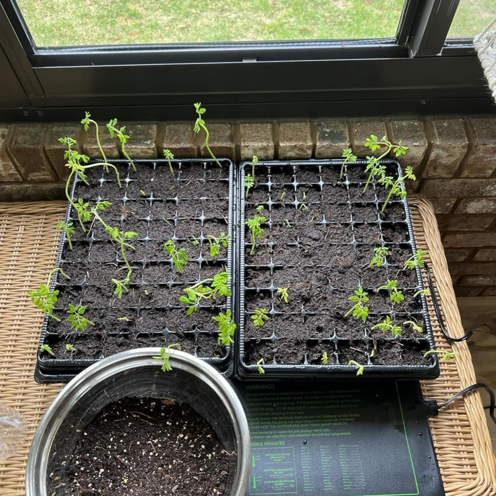 3-Pack Seed Starter Trays with 5" Tall Humidity Domes & 54-Cell Deep Trays