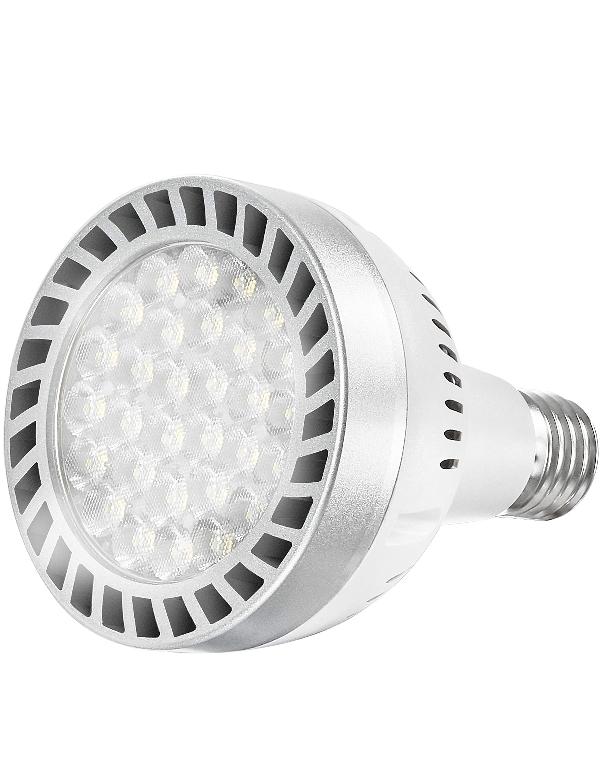Bright Led Pool Light Bulb,120V 65W with 6000LM E27/E26 Base Pool Light Bulb Daylight White 6000K Swimming Pool Replacement for Most Pentair Hayward Light Fixtures