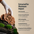 FreshCap Mushrooms Premium Organic Turkey Tail Supplement Capsules - 10:1 Fruiting Body Extract with 35% Beta-Glucans - 3rd-Party Tested - Supports Daily Immunity and Gut Resilience (120 Capsules)
