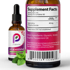 Spermidine Liquid Drops — 99.5% Pure | Double-Potency 40 mg | Cellular Renewal & Healthy Aging Support | Organic Peppermint Flavor | Pure Bioavailable Polyamine Supplement — 2 fl oz