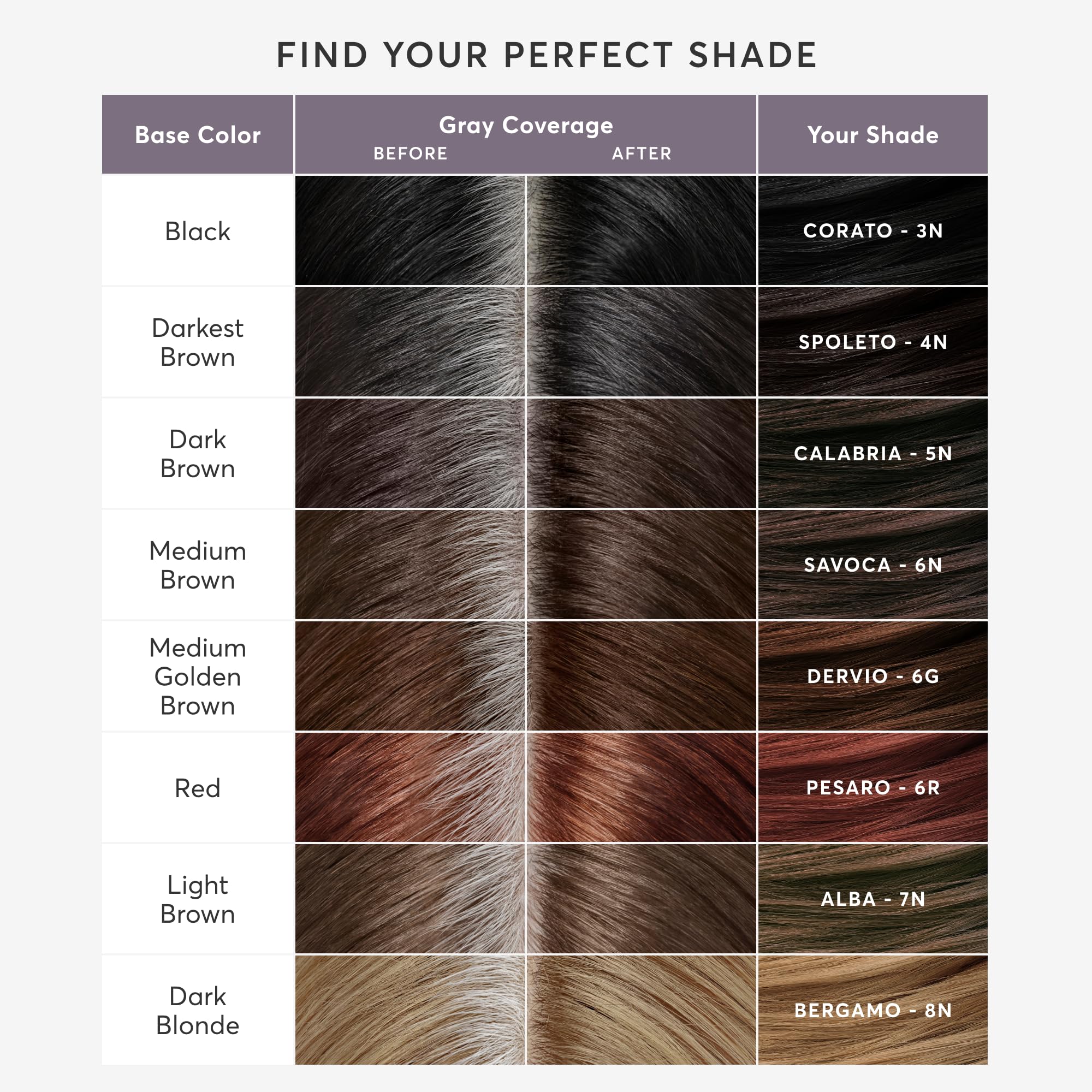 Madison Reed Root Perfection Root Touch Up Kit – 6N Savoca Medium Brown, 100% Gray Coverage in 10 Min, Ammonia-Free, 2 Applications