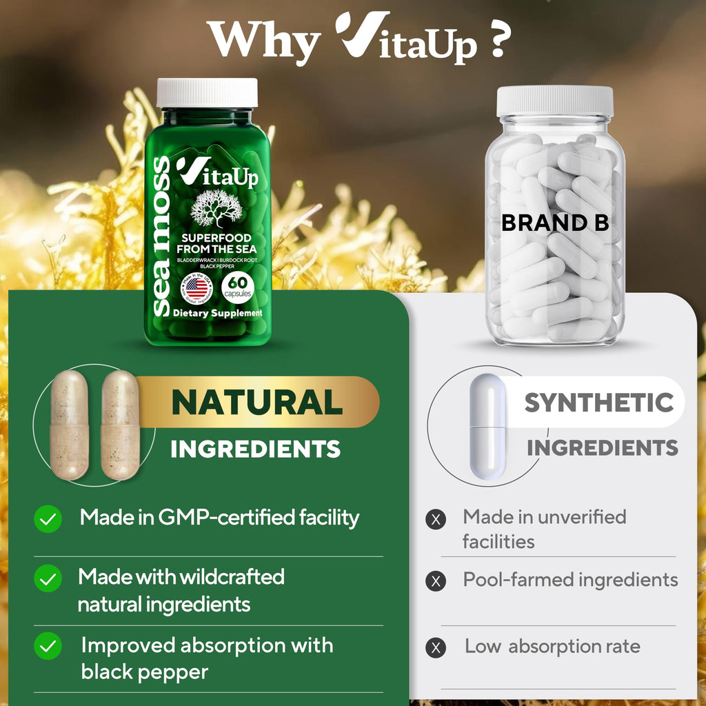 VitaUp Wildcrafted Irish Sea Moss Capsules with Burdock Root & Bladderwrack - USA Made Sea Moss Advanced for Hair, Skin, Immune & Energy Levels Support - SeaMoss Pills - 60 Vegan Capsules