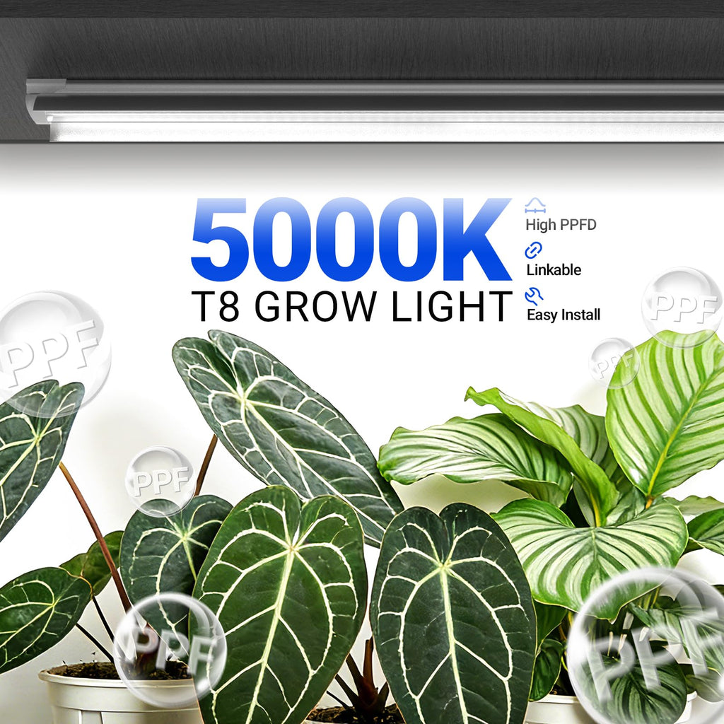 Barrina Plant Grow Lights, 4FT 5000K Full Spectrum Daylight White, 6 Packs
