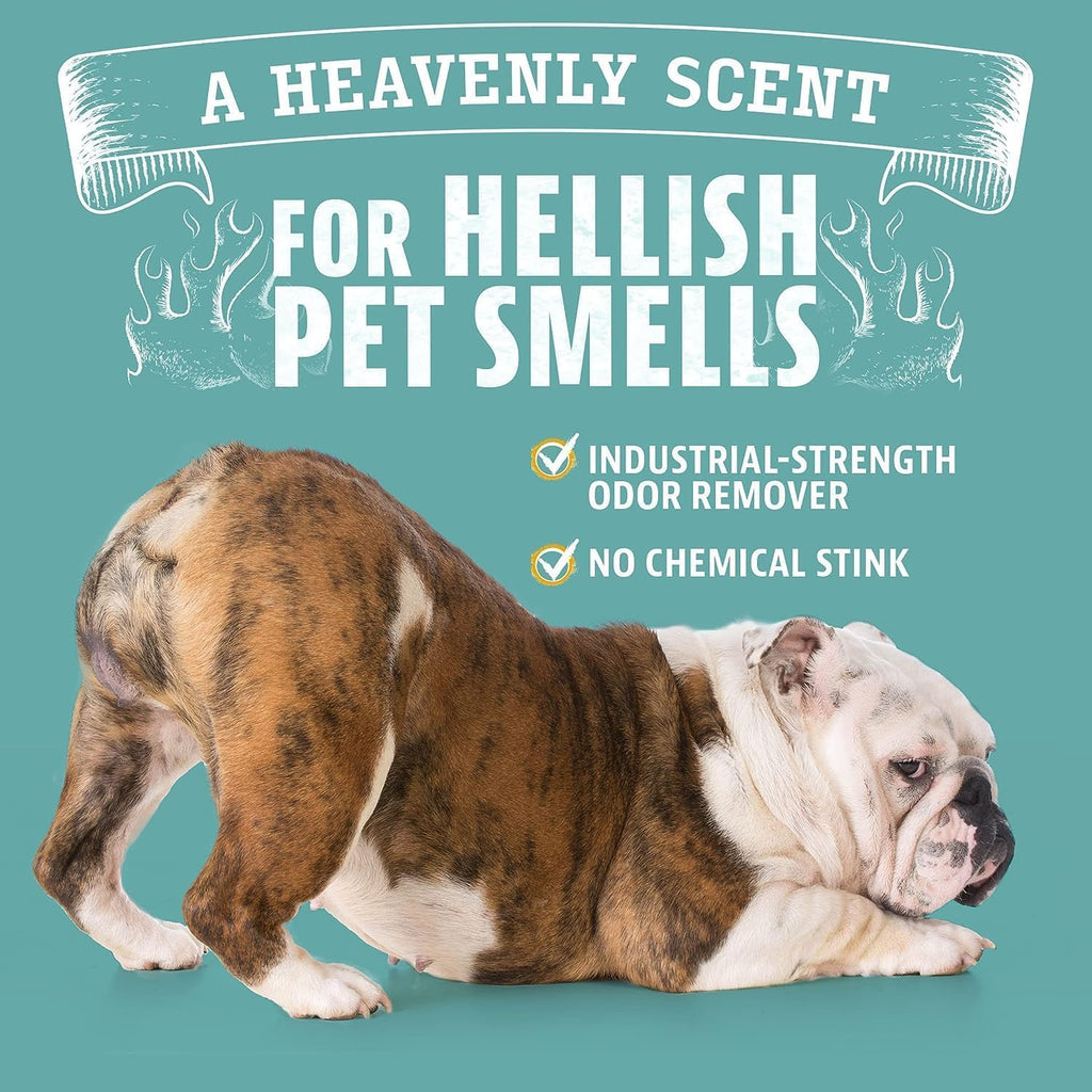 ANGRY ORANGE Pet Odor Eliminator, Removes Dog and Cat Urine Bad Smell 24 Oz