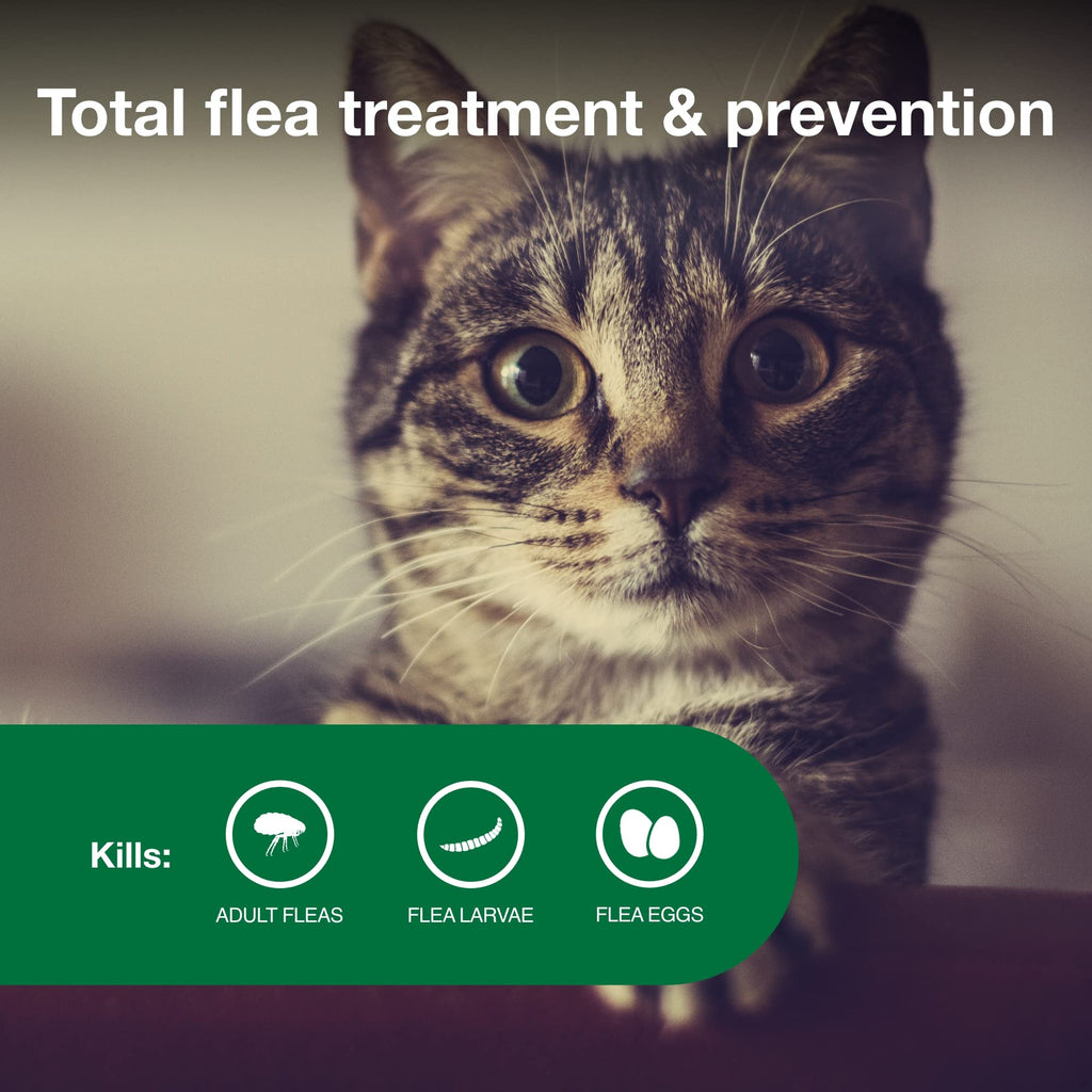 Advantage II Small Cat Topical Flea Treatment & Prevention, 2ct