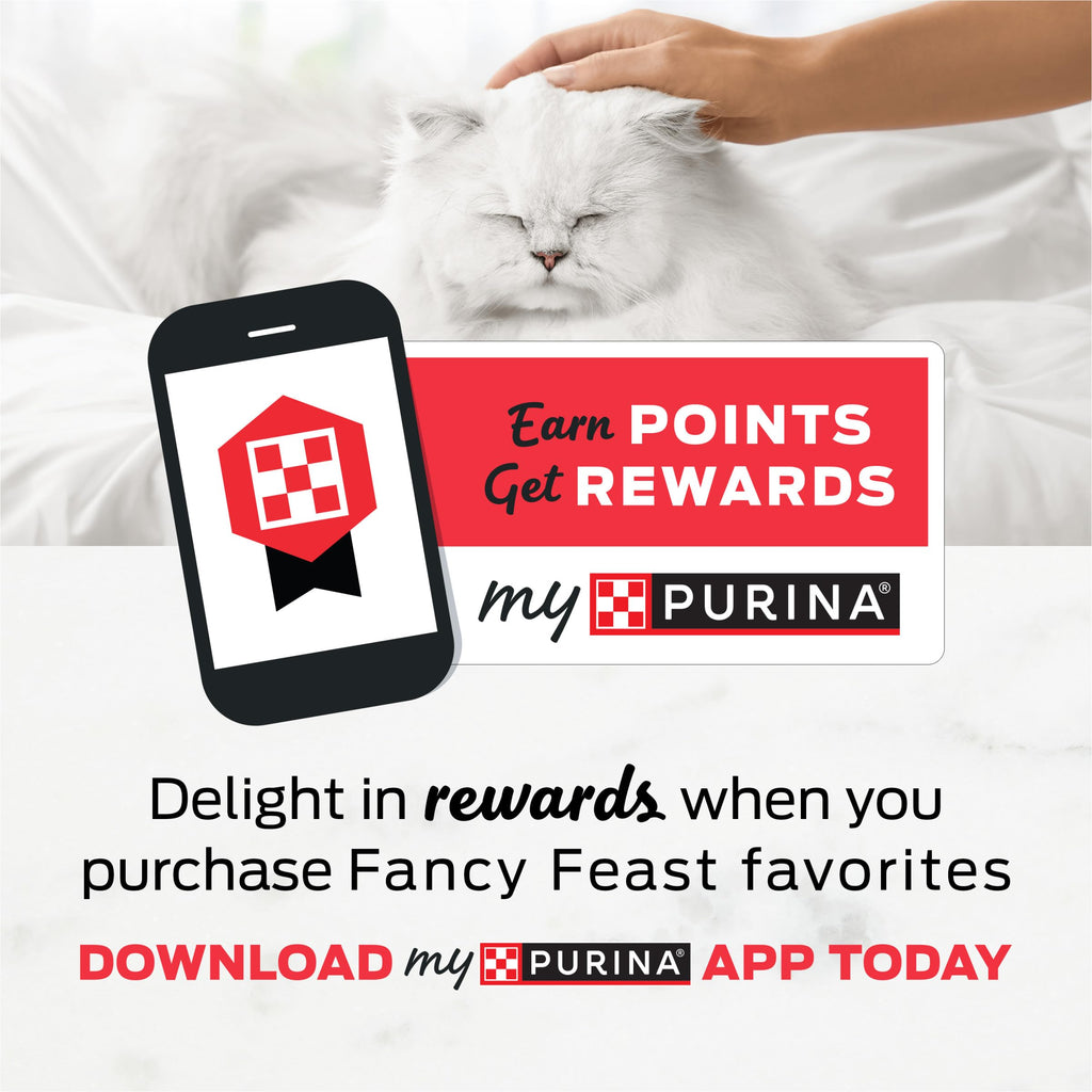 Purina Fancy Feast Petites Seared Salmon Entree With Spinach in Gravy Gourmet Wet Cat Food - (Pack of 12) 2.8 oz. Tubs