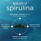 ENERGYBITS - Organic Spirulina Tablets - Plant-Based Algae Superfood - for Focus, Fitness, Energy - Plant Protein - Gluten Free - Collagen, Vitamin B12, Omega 3 - Keto & Vegan - 60 Algae Tablets