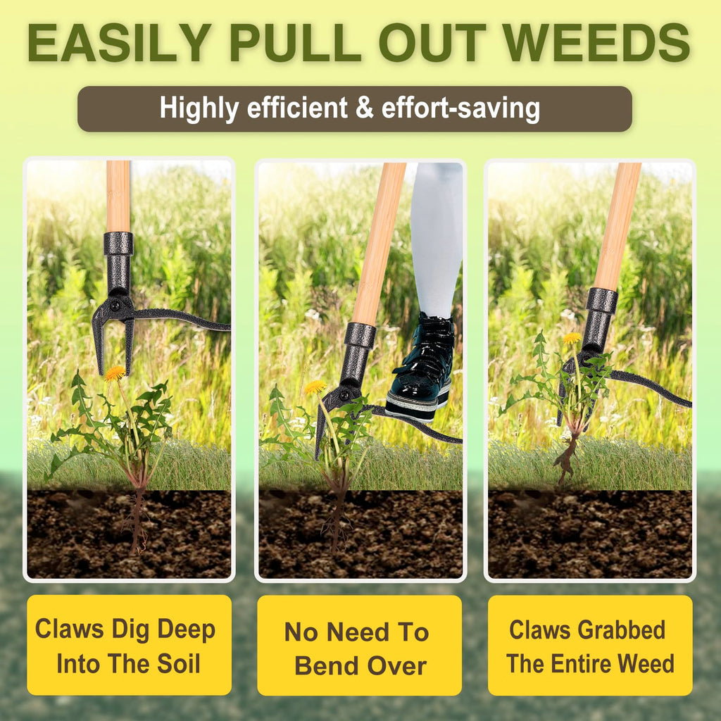 CRAFTZONE Weed Puller Stand Up Weed Puller Tool with Wooden Long Handle Foot Platform Design 4-Claw Steel Head & Removable 3-Section Pole Garden Tools-Easily Remove Weeds Without Bending or Kneeling