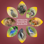 Audubon Park Squirrel & Critter Food, 15-lb. Bag