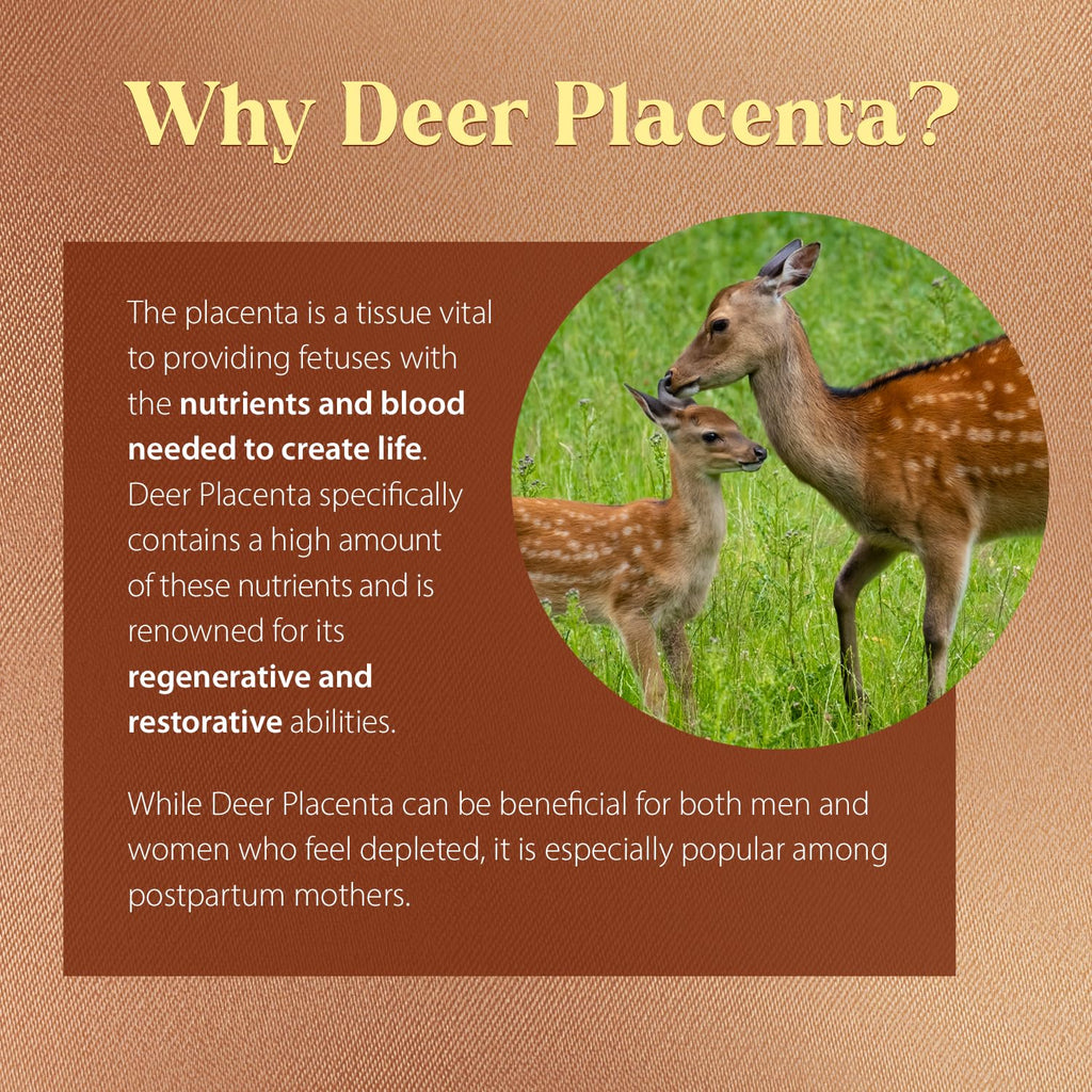 Dragon Herbs Deer Placenta Capsules | Deer Placenta Supplement to Support Vitality & Wellness | All Natural Ingredients, Non-GMO (60 Capsules, 500 mg Per Capsule)