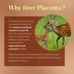 Dragon Herbs Deer Placenta Capsules | Deer Placenta Supplement to Support Vitality & Wellness | All Natural Ingredients, Non-GMO (60 Capsules, 500 mg Per Capsule)