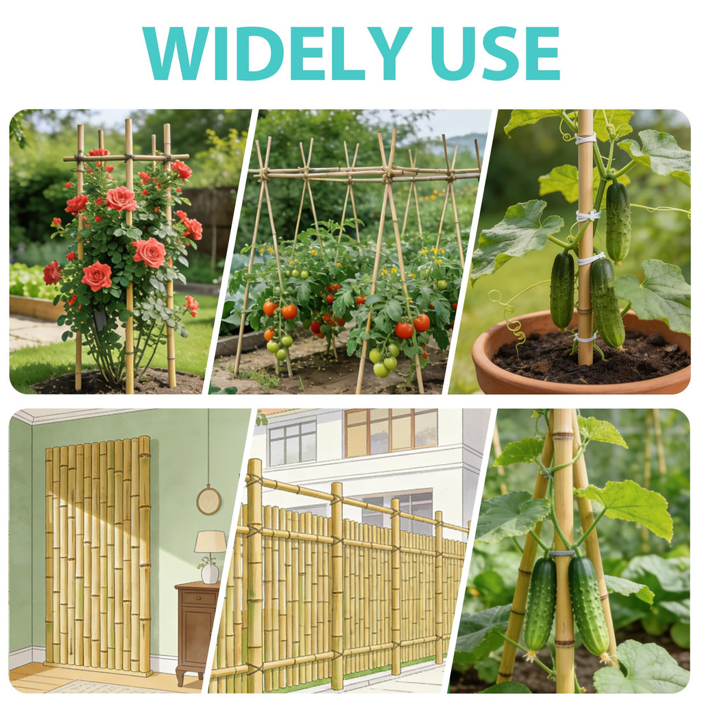 Latuxe Bamboo Stakes 6FT, 20pcs Garden Stakes 72in Specifically Designed for Climbing Plants, Ideal for Tomatoes, Beans, Cucumbers, Peppers, Vines, and More Plant Growth