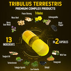 Zolotus 13in1 Tribulus Terrestris Capsules with Maca, Horny Goat Weed, Panax Ginseng, Saw Palmetto, Tongkat Ali, Shilajit & More - Energy, Stamina Supplement for Men & Women - 120 Counts