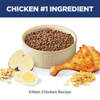 Hill's Science Diet Kitten Formula Dry Cat Food