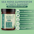 Sea Moss Gummies 16-in-1, with Black Seed Oil, Ashwagandha & Elderberry | Organic Irish Sea Moss Supplement for Men & Women | Daily Support with Manuka, Burdock Root & Vitamins C & D3, 30 Gummies