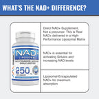 MAAC10 Liposomal NAD Supplement 500mg Serving (2x250mg Capsules) Actual Nicotinamide Adenine Dinucleotide