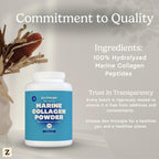 Zen Principle Marine Collagen Peptides Powder 3lb. Wild-Caught Fish, Non-GMO. Supports Healthy Skin, Hair, Joints, and Bones. Hydrolyzed Type 1 & 3 Protein. Amino Acids, Unflavored, Easy to Mix.