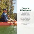 Global Healing Wheat Grass Powder Organic 180g - Nutrient-Dense, Raw Wheatgrass Juice Powder (33:1 Extract) with Strong Antioxidants for Immune Support & Energy Boost - Cold-Process, Non-GMO - 6.3 Oz