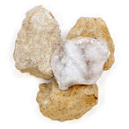 DANCING BEAR 25 Break Your Own Geodes, (Medium 1-1.5") 90% Hollow, Crack Open & Discover Amazing Surprise Crystals Inside! Educational Info and Instructions Included, Fun Party Favors & Prizes