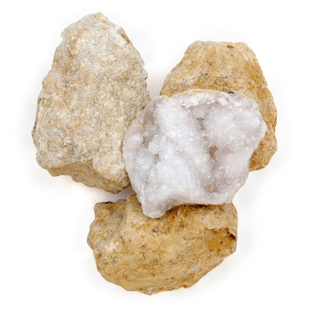 DANCING BEAR 25 Break Your Own Geodes, 90% Hollow, (Large 1.75-2.5") Crack Open & Discover Amazing Surprise Crystals Inside! Educational Info and Instructions Included, Fun Party Favors & Prizes