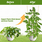 Avalution 10 Pack Bamboo Trellis for Climbing Plants, 4 FT Garden Ladder Trellis for Potted Plants Indoor, Fan-Shaped Small Plant Support Trellis for Houseplants Ivy Hoya Vine Monstera