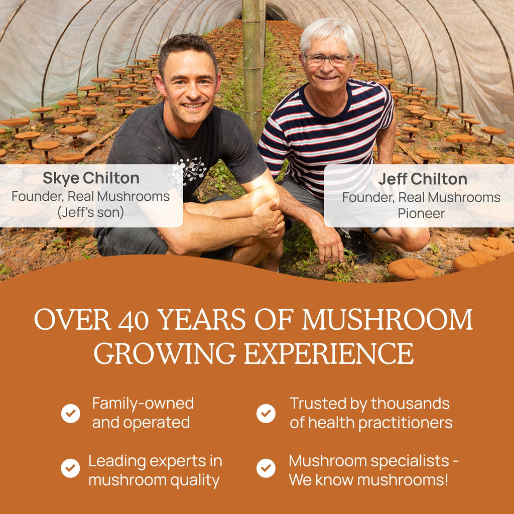 Real Mushrooms Capsules Supplements - Organic Cordyceps Mushroom Powder in Capsules - Energy and Performance Mushrooms with Verified Beta Glucans - Vegan, Non-GMO, 300 Capsules